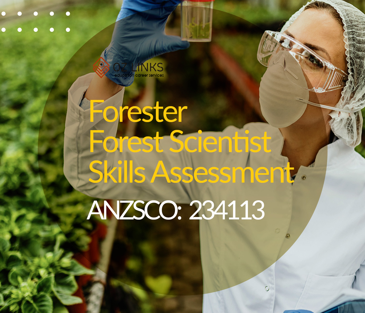 234113 forester forest scientist skills assessment