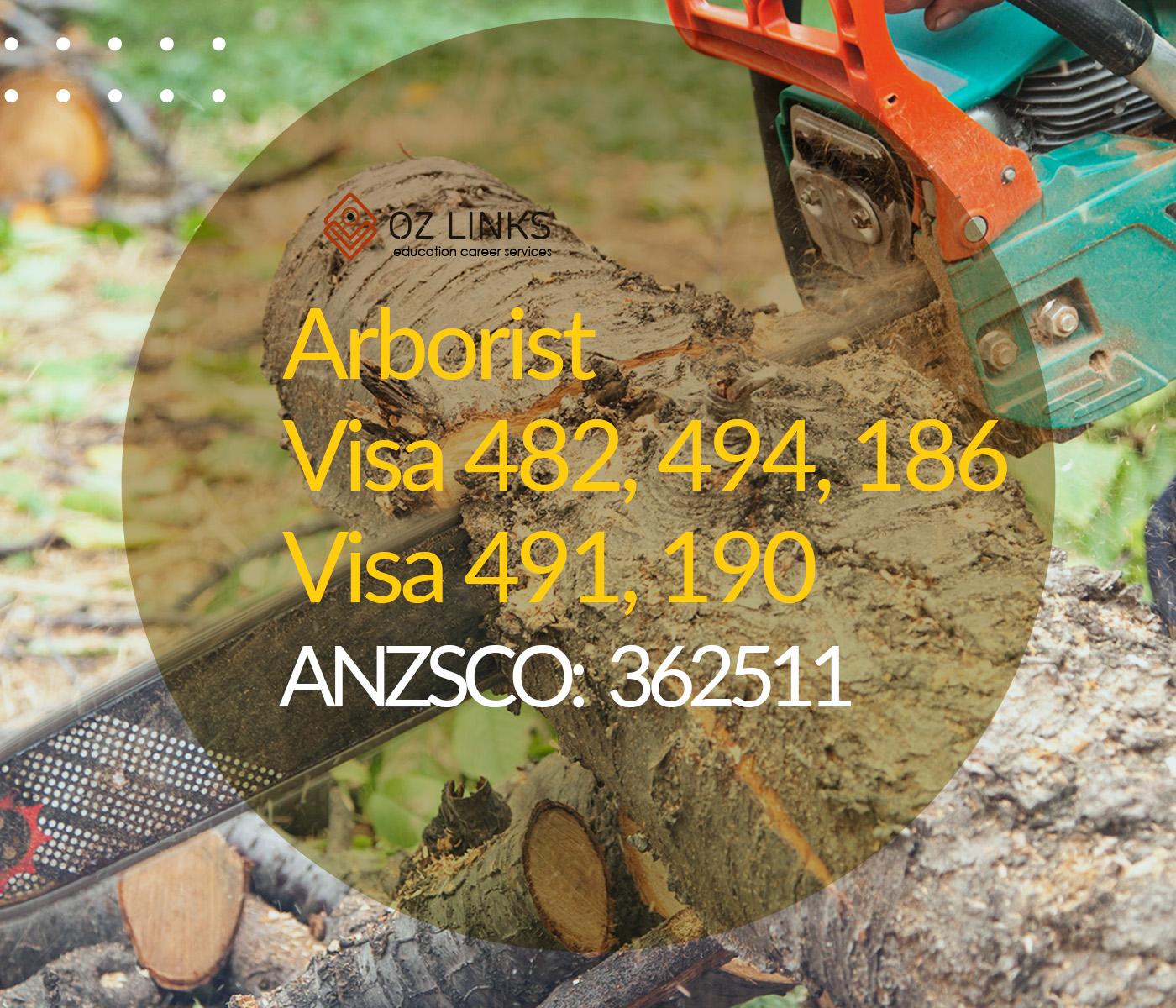 362511 arborist skills assessment