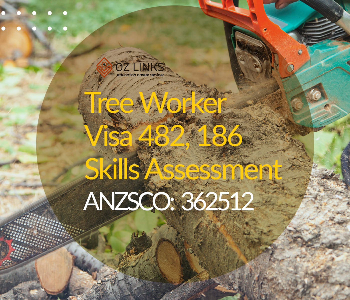 362512 tree worker skills assessment